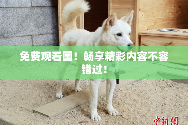 免费观看国！畅享精彩内容不容错过！