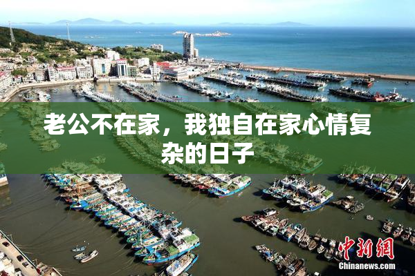 老公不在家，我独自在家心情复杂的日子