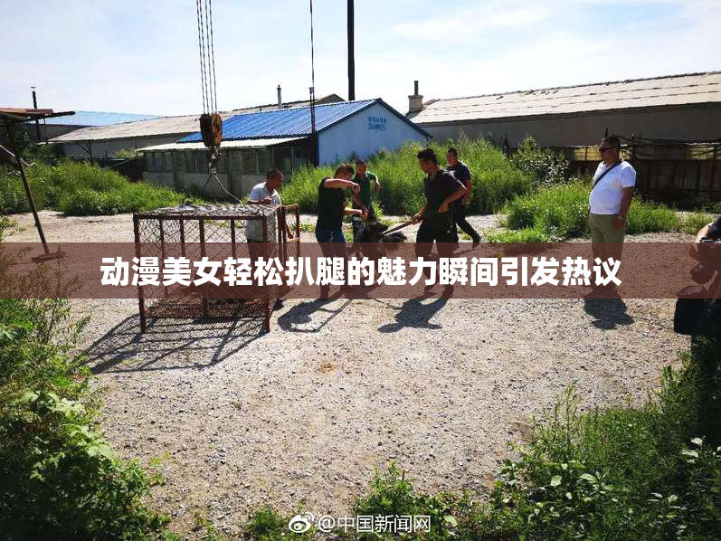 动漫美女轻松扒腿的魅力瞬间引发热议