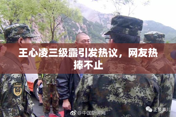 王心凌三级露引发热议，网友热捧不止