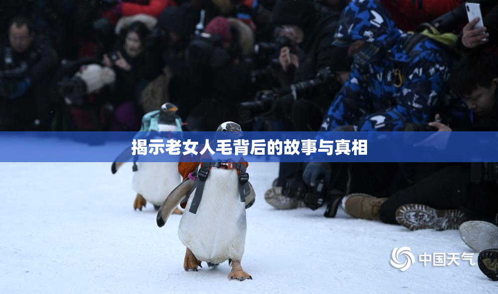 揭示老女人毛背后的故事与真相
