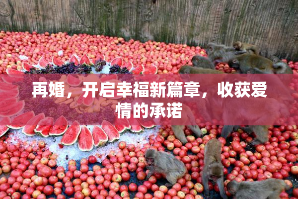 再婚，开启幸福新篇章，收获爱情的承诺