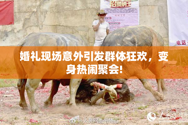 婚礼现场意外引发群体狂欢，变身热闹聚会!