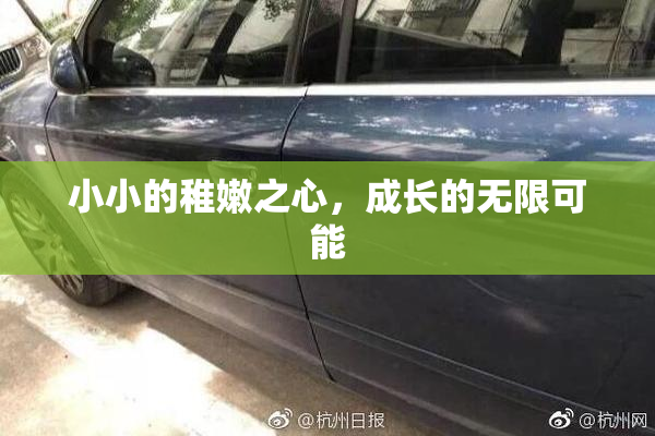 小小的稚嫩之心，成长的无限可能