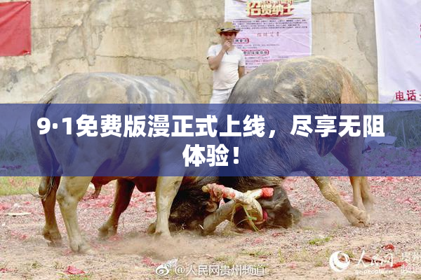 9·1免费版漫正式上线，尽享无阻体验！
