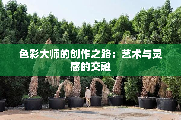 色彩大师的创作之路：艺术与灵感的交融