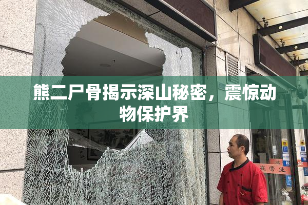 熊二尸骨揭示深山秘密，震惊动物保护界