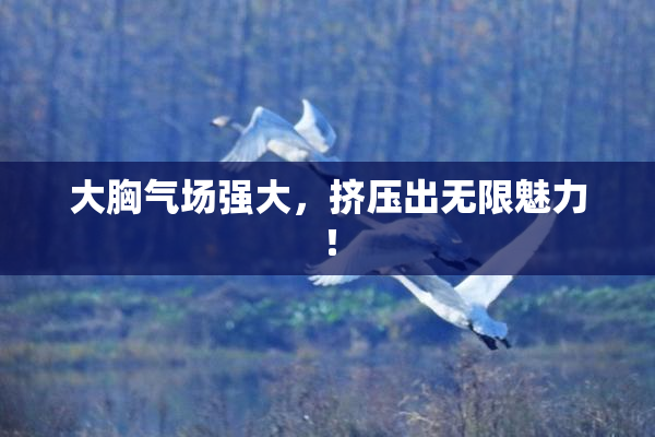 大胸气场强大，挤压出无限魅力！