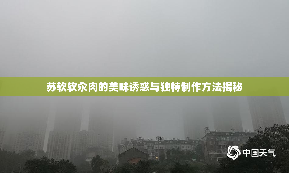 苏软软汆肉的美味诱惑与独特制作方法揭秘