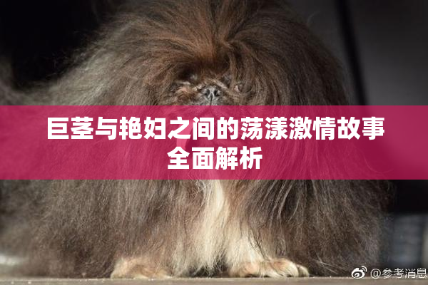 巨茎与艳妇之间的荡漾激情故事全面解析