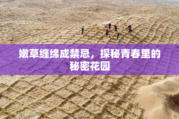 嫩草缠绵成禁忌，探秘青春里的秘密花园