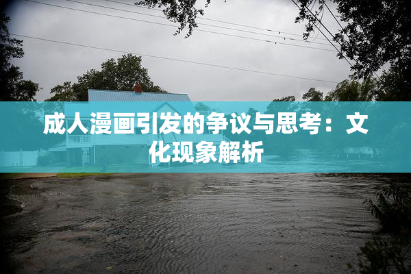 成人漫画引发的争议与思考：文化现象解析