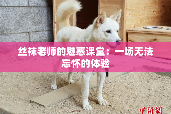 丝袜老师的魅惑课堂：一场无法忘怀的体验