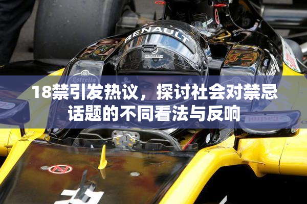 18禁引发热议，探讨社会对禁忌话题的不同看法与反响