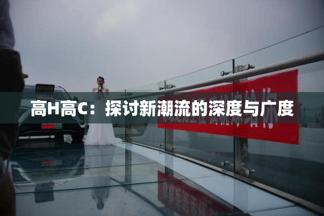 高H高C：探讨新潮流的深度与广度