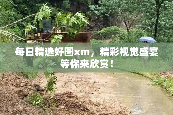 每日精选好图xm，精彩视觉盛宴等你来欣赏！