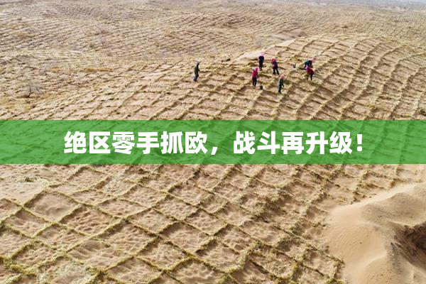 绝区零手抓欧，战斗再升级！