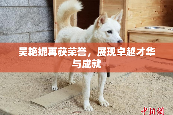 吴艳妮再获荣誉，展现卓越才华与成就