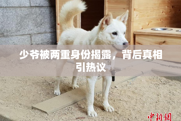 少爷被两重身份揭露，背后真相引热议