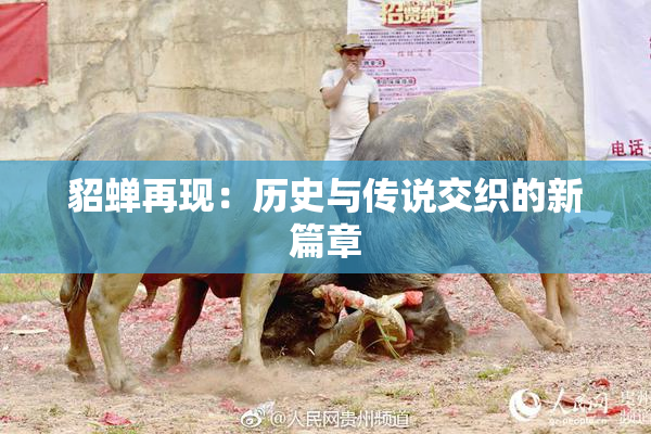 貂蝉再现：历史与传说交织的新篇章