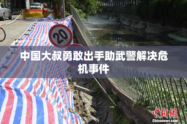 中国大叔勇敢出手助武警解决危机事件