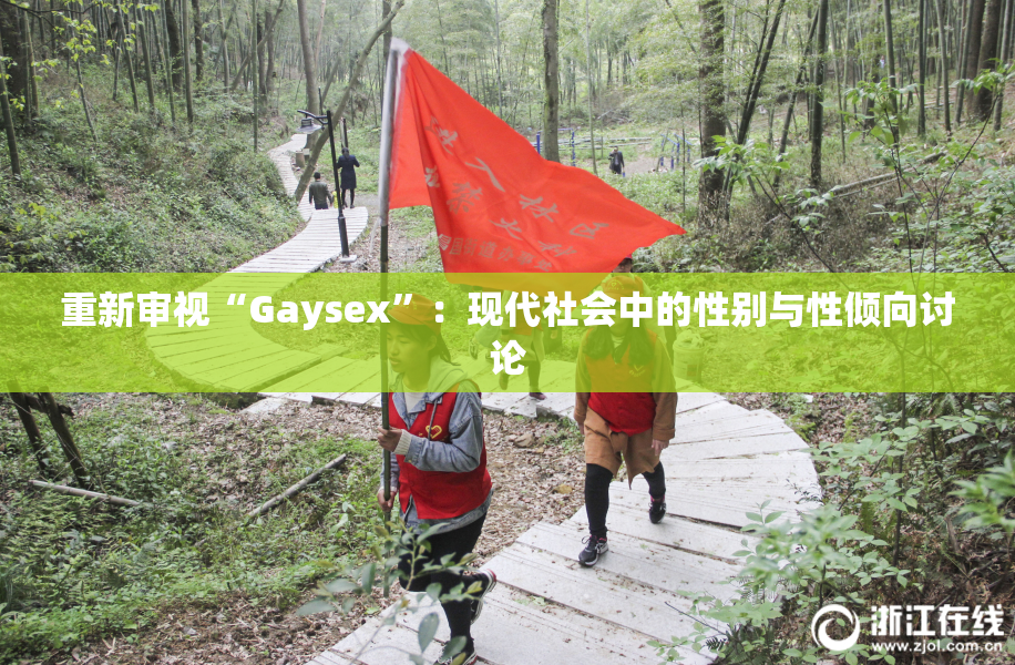 重新审视“Gaysex”：现代社会中的性别与性倾向讨论