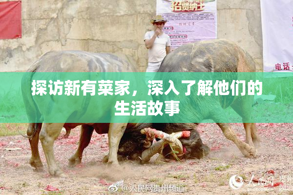 探访新有菜家，深入了解他们的生活故事