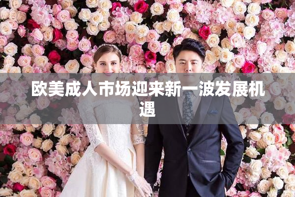 欧美成人市场迎来新一波发展机遇