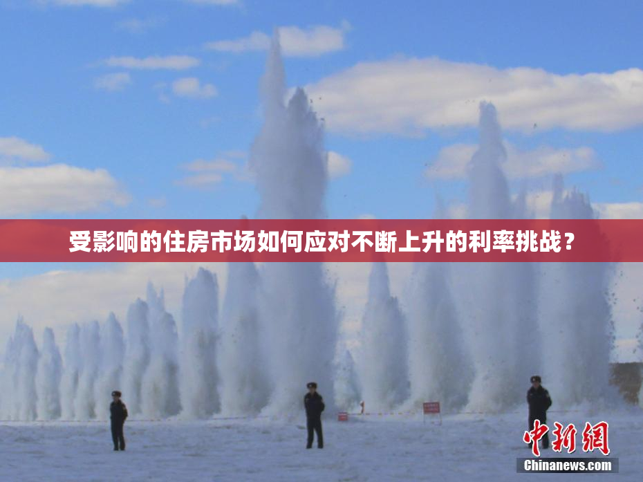 受影响的住房市场如何应对不断上升的利率挑战？