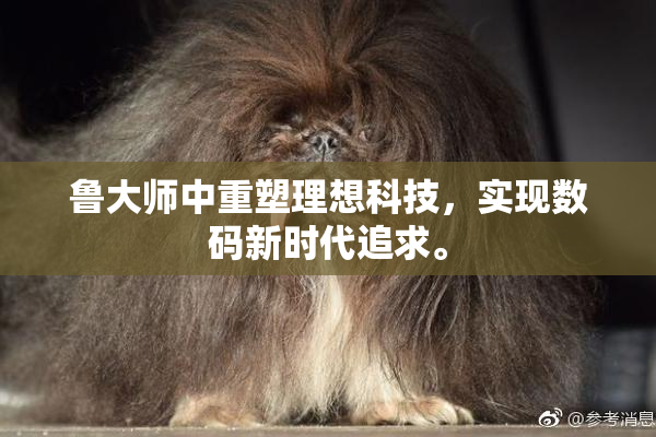 鲁大师中重塑理想科技，实现数码新时代追求。