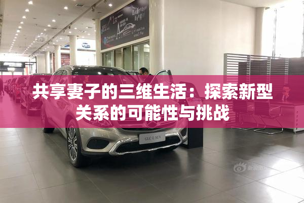 共享妻子的三维生活：探索新型关系的可能性与挑战