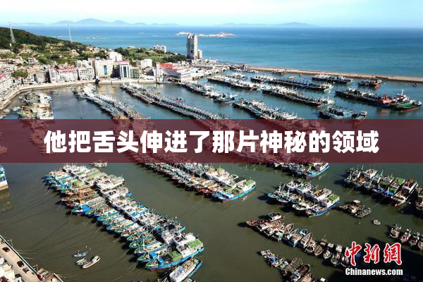 他把舌头伸进了那片神秘的领域