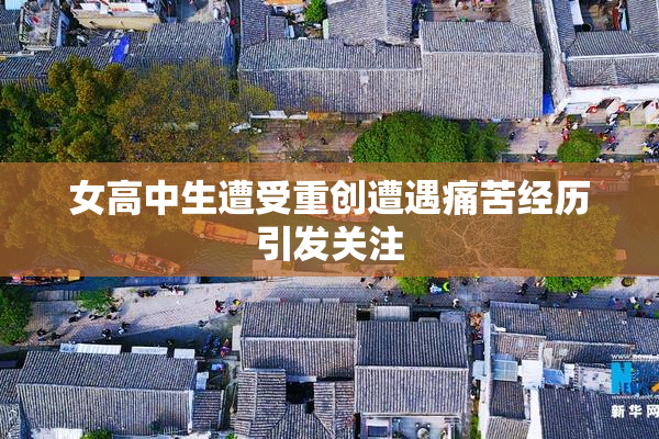 女高中生遭受重创遭遇痛苦经历引发关注
