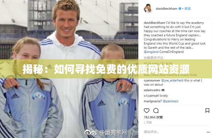 揭秘：如何寻找免费的优质网站资源