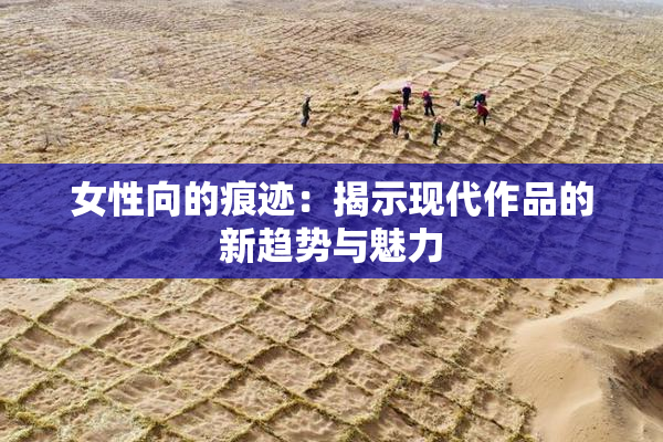 女性向的痕迹：揭示现代作品的新趋势与魅力