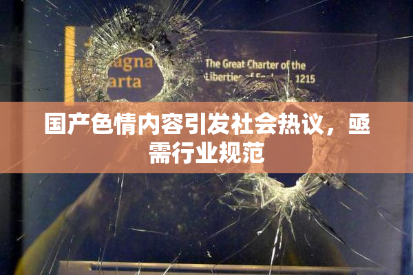 国产色情内容引发社会热议，亟需行业规范