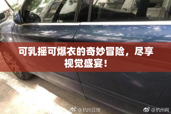 可乳摇可爆衣的奇妙冒险，尽享视觉盛宴！