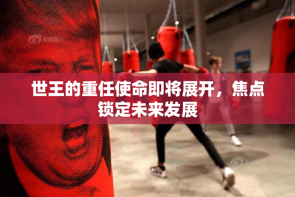 世王的重任使命即将展开，焦点锁定未来发展