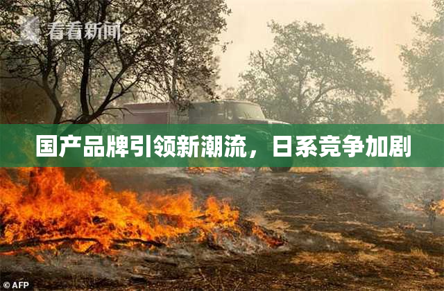 国产品牌引领新潮流，日系竞争加剧