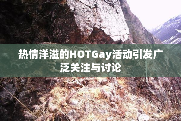 热情洋溢的HOTGay活动引发广泛关注与讨论