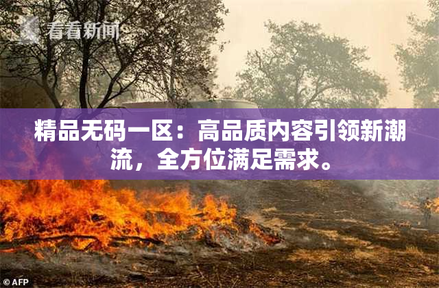 精品无码一区：高品质内容引领新潮流，全方位满足需求。