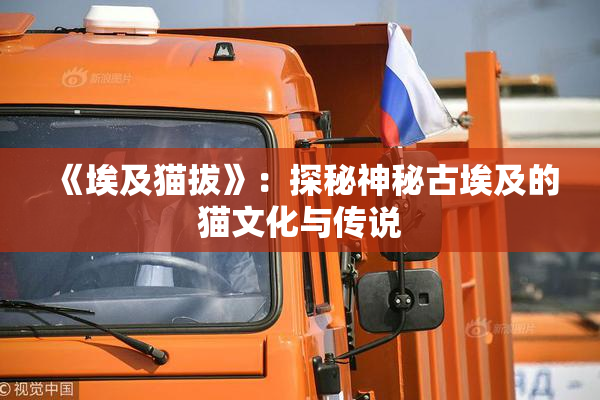 《埃及猫拔》：探秘神秘古埃及的猫文化与传说