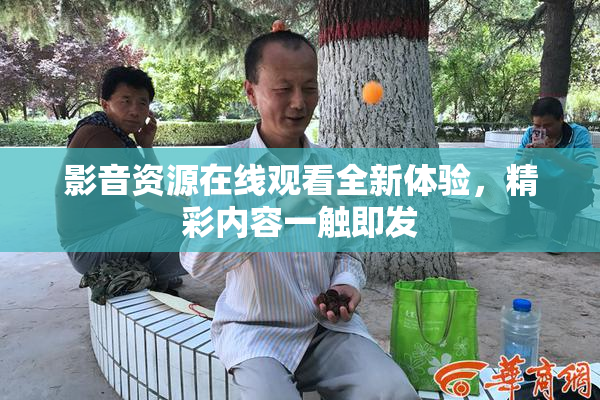 影音资源在线观看全新体验，精彩内容一触即发