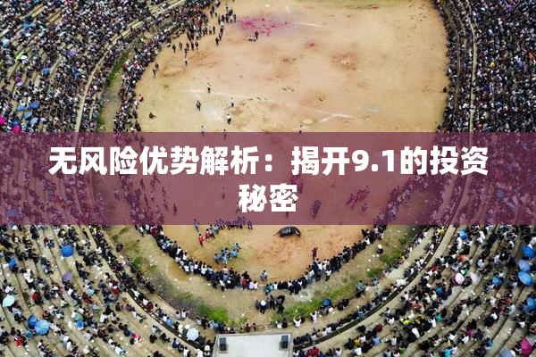无风险优势解析：揭开9.1的投资秘密