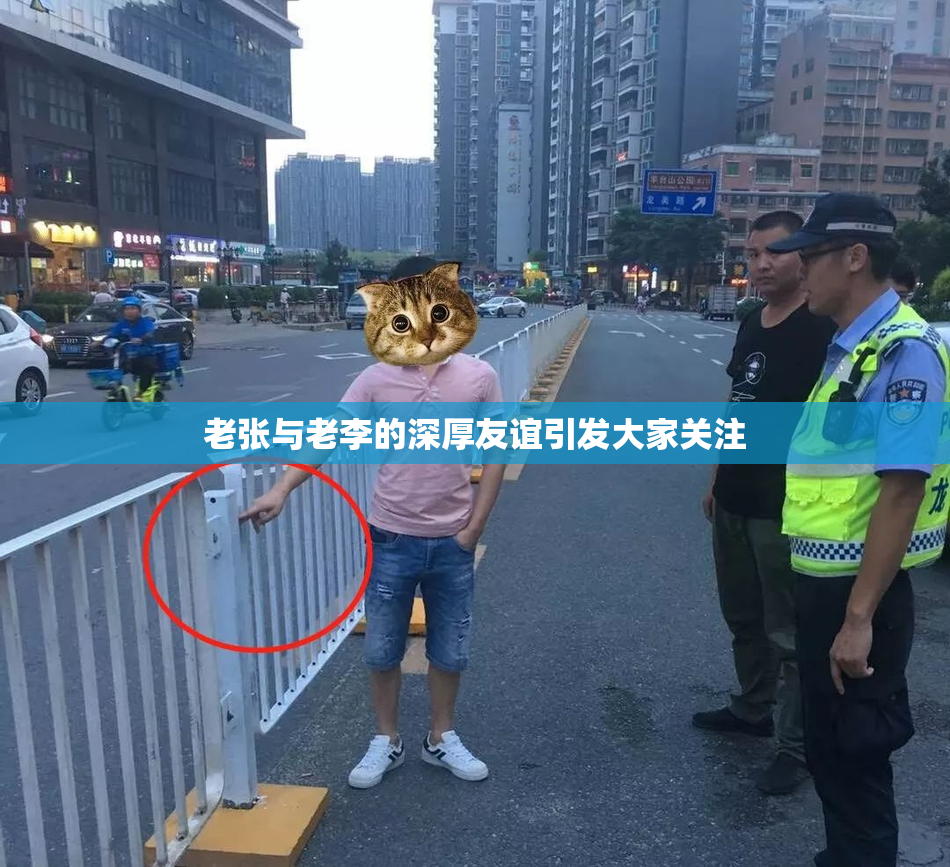 老张与老李的深厚友谊引发大家关注