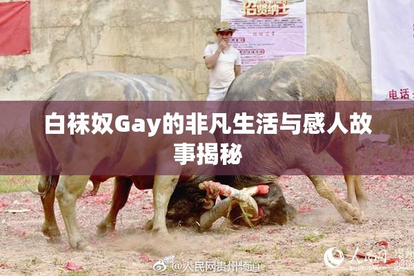 白袜奴Gay的非凡生活与感人故事揭秘