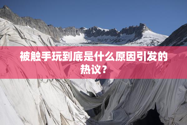 被触手玩到底是什么原因引发的热议？