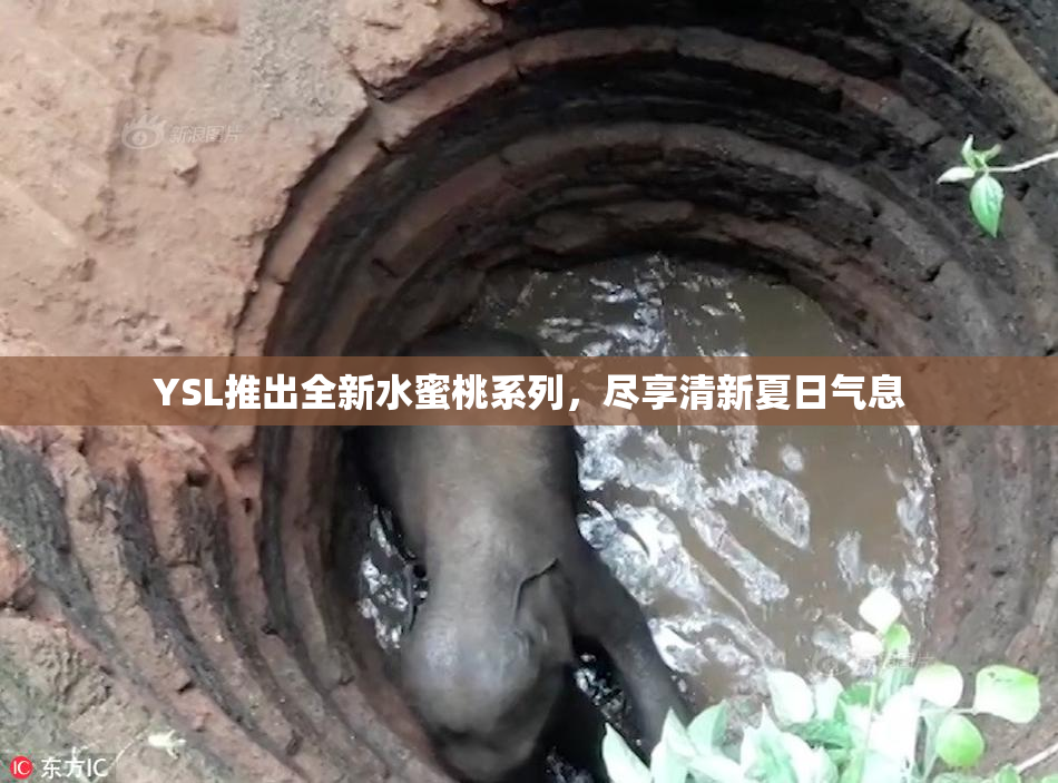 YSL推出全新水蜜桃系列，尽享清新夏日气息