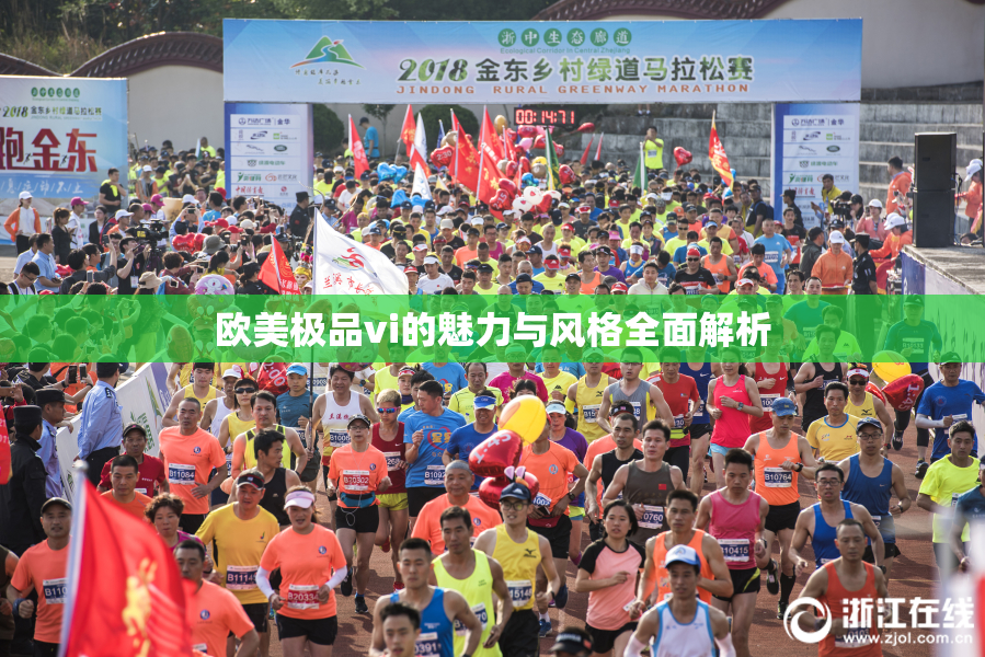 欧美极品vi的魅力与风格全面解析