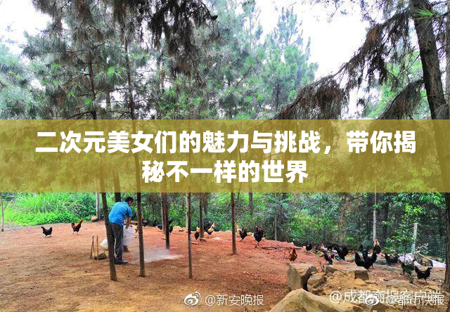 二次元美女们的魅力与挑战，带你揭秘不一样的世界